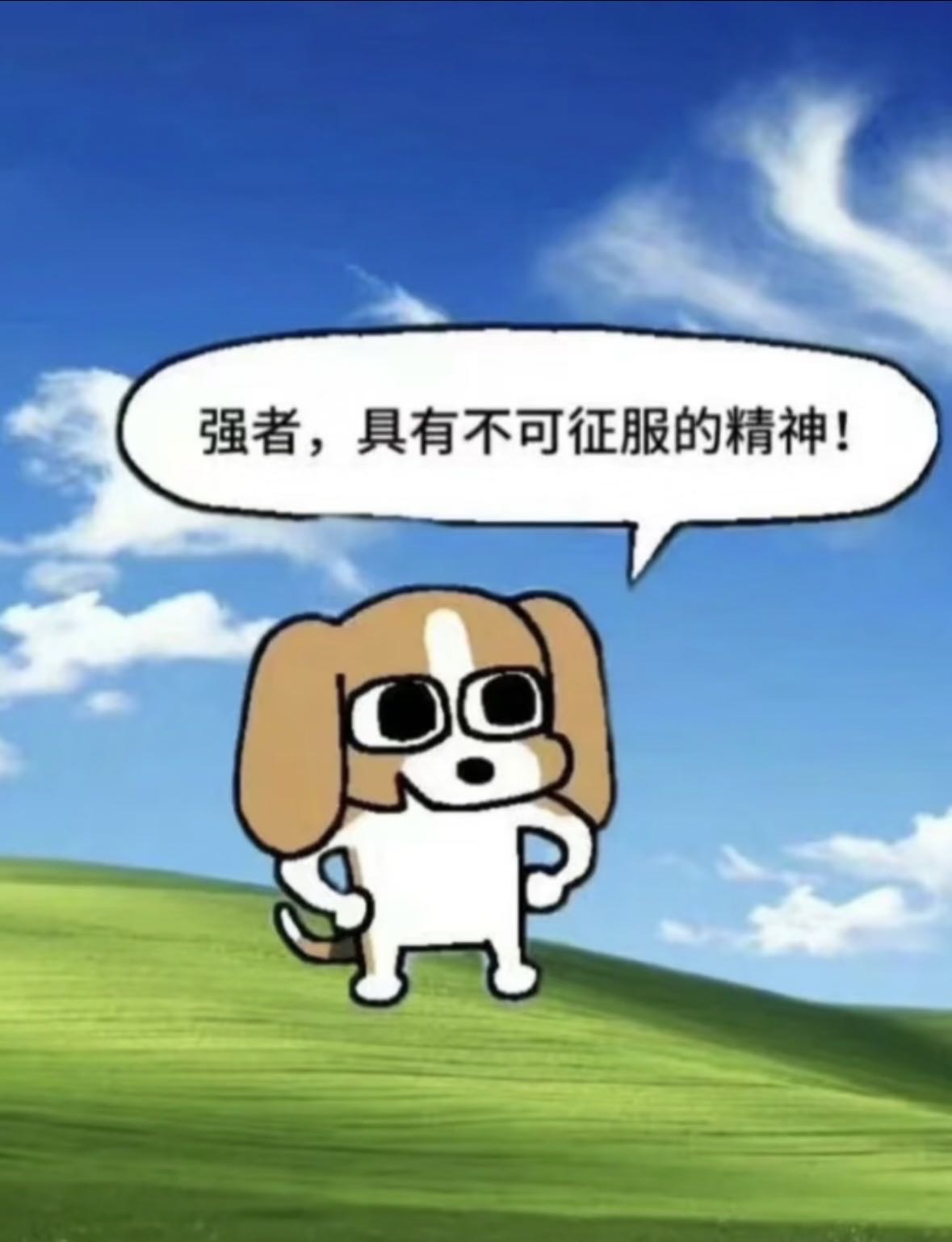 宠物头像