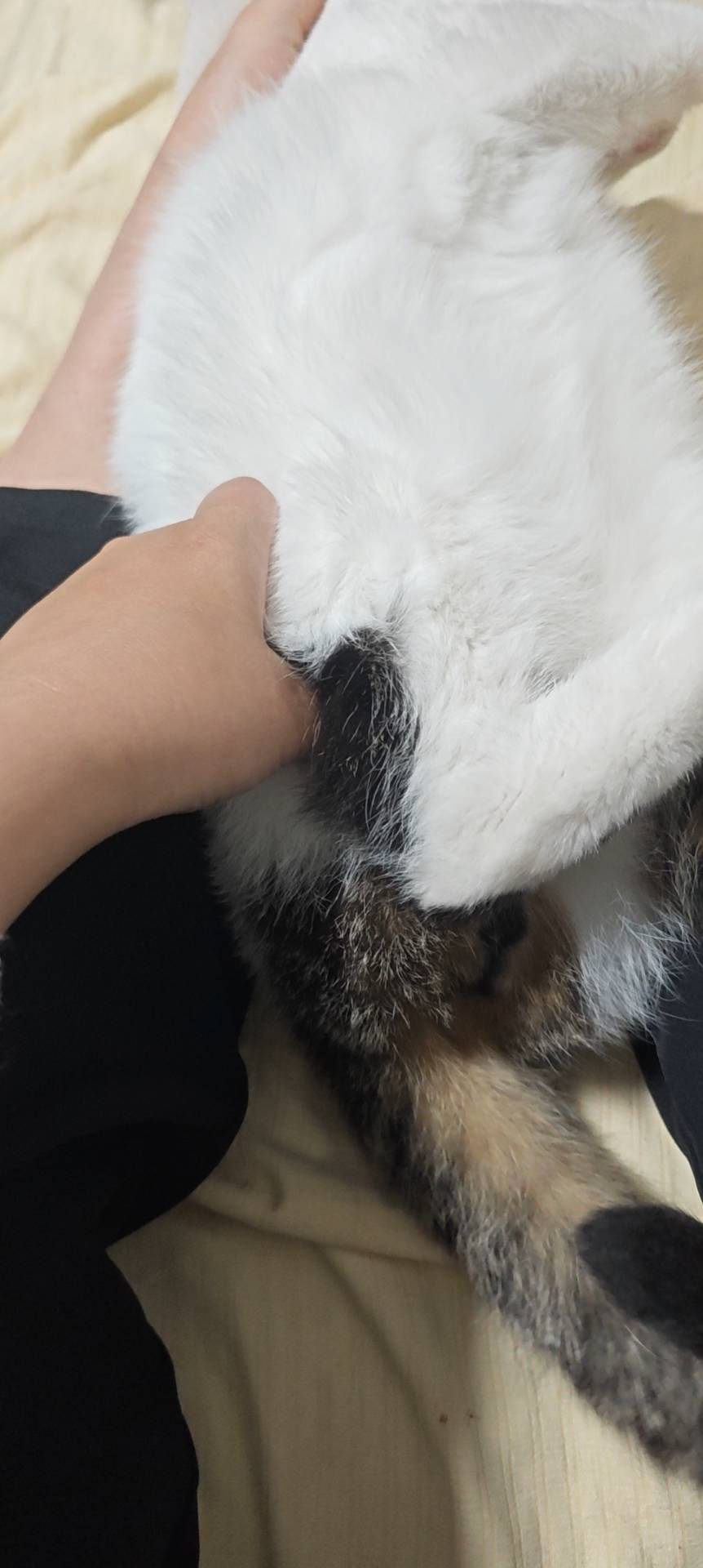 症状描述图片