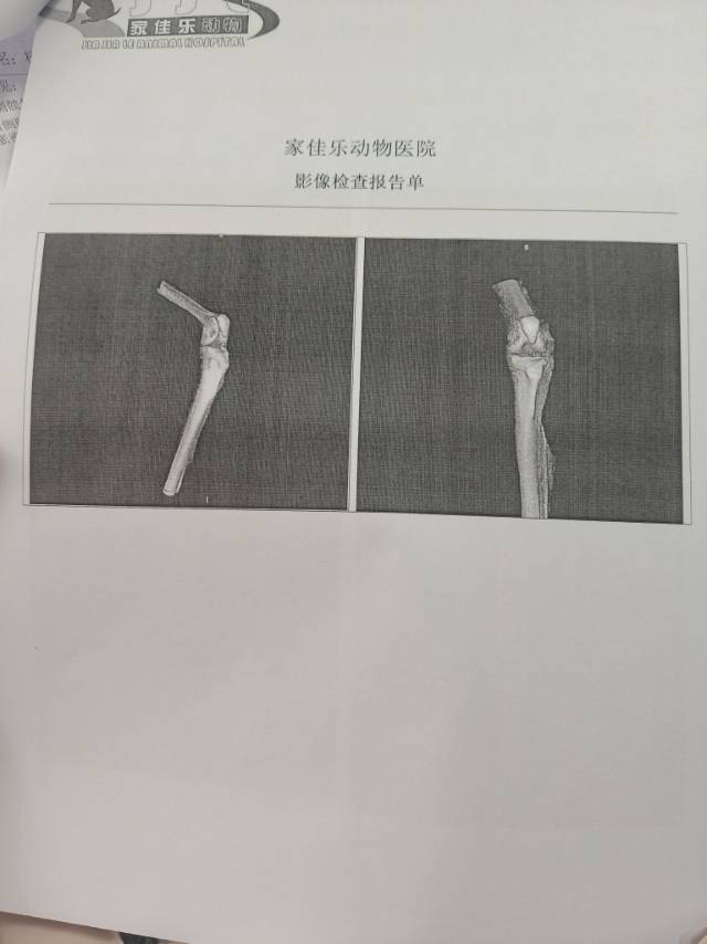 症状描述图片