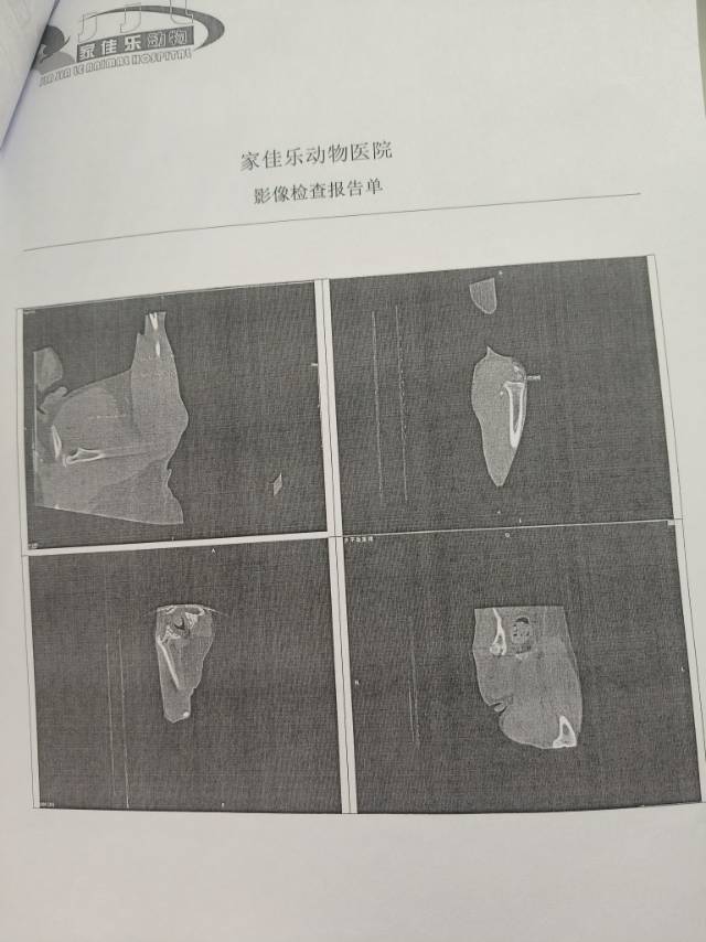 症状描述图片