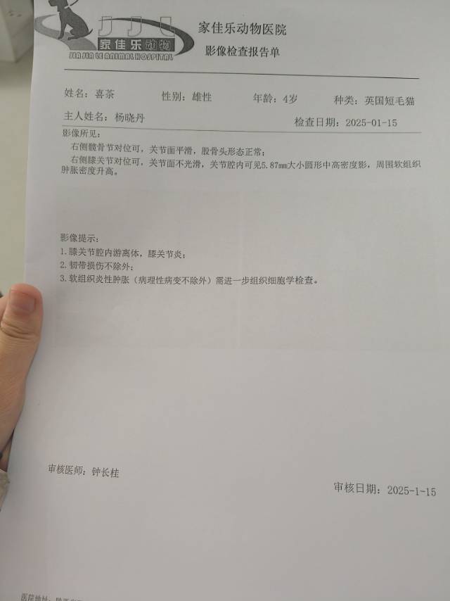 症状描述图片