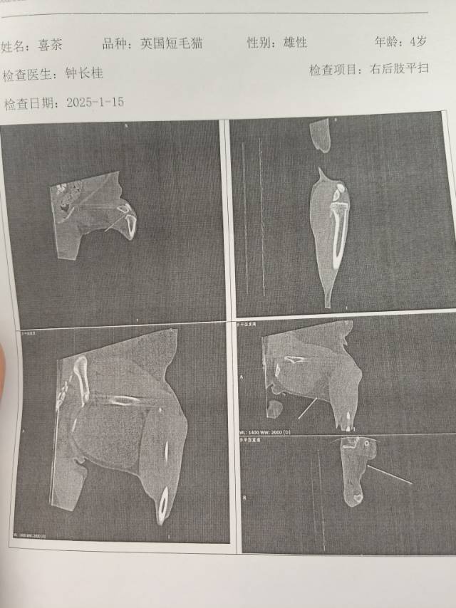 症状描述图片