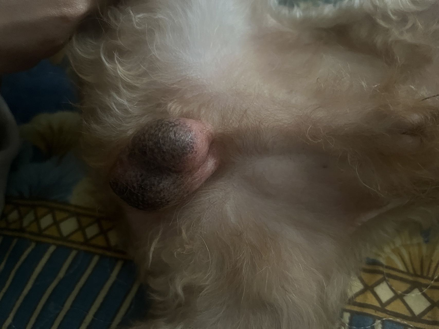 症状描述图片