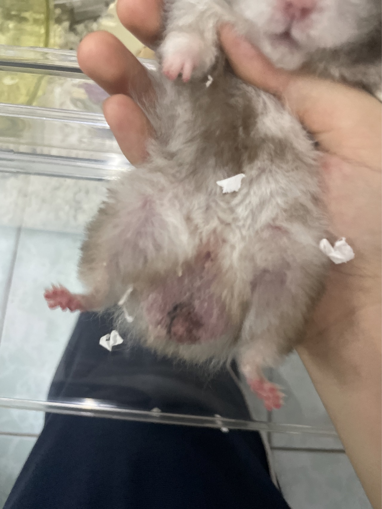 症状描述图片