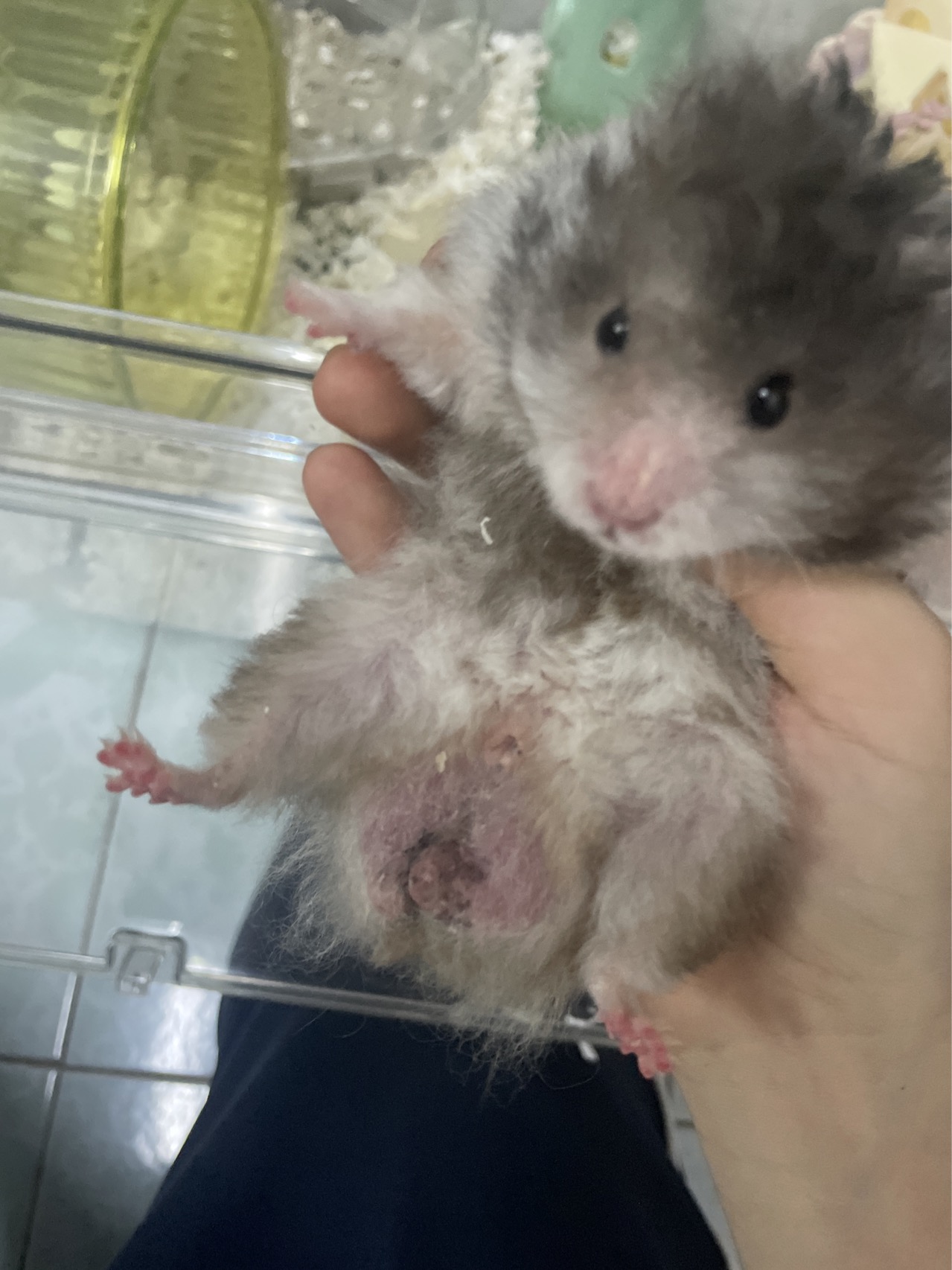 症状描述图片