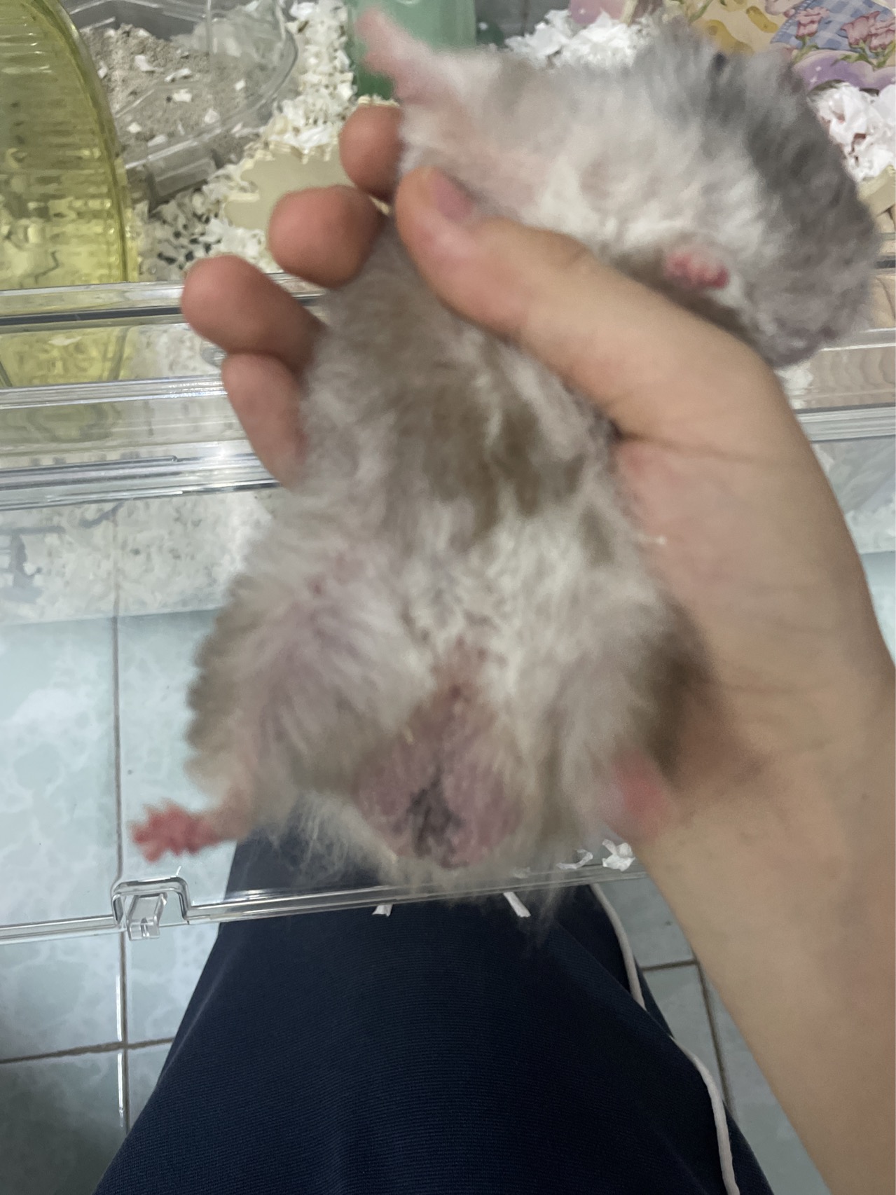 症状描述图片