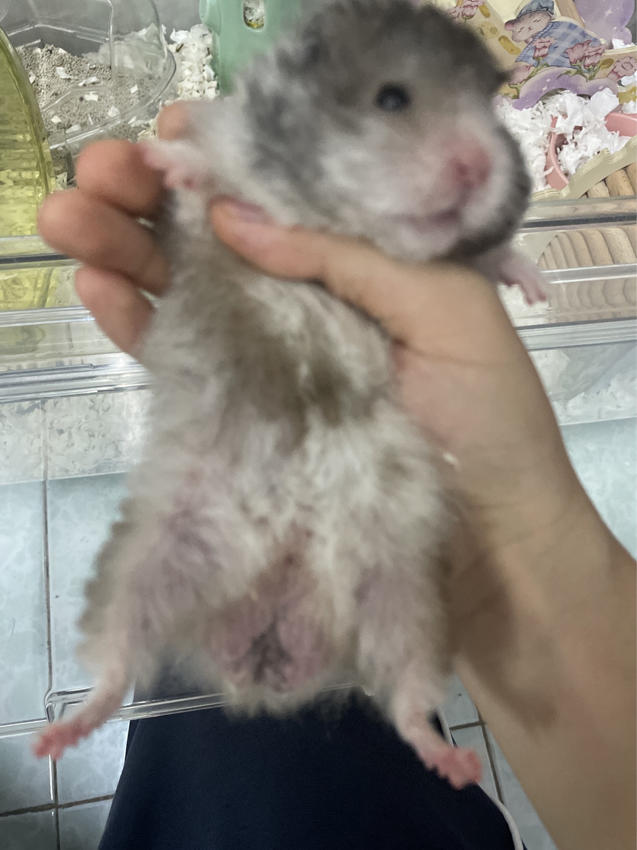 症状描述图片