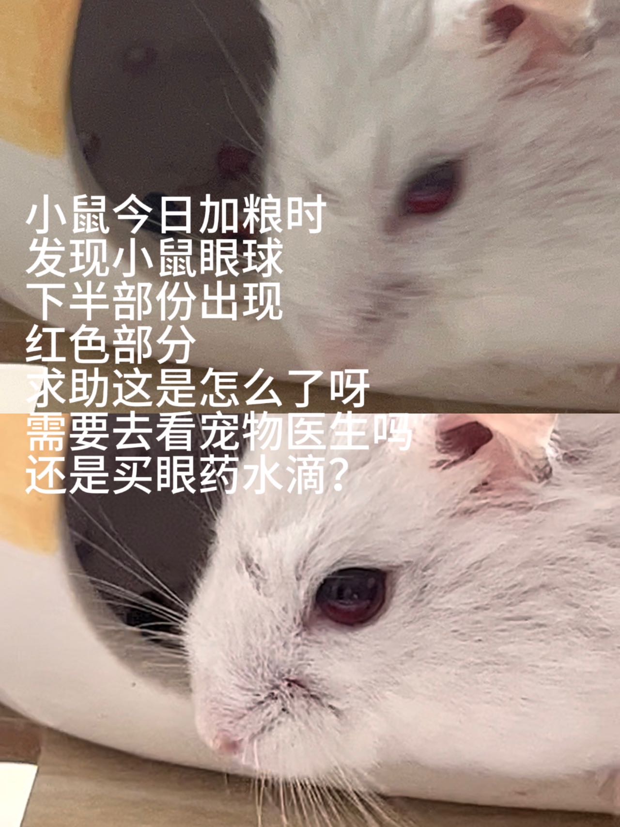 症状描述图片