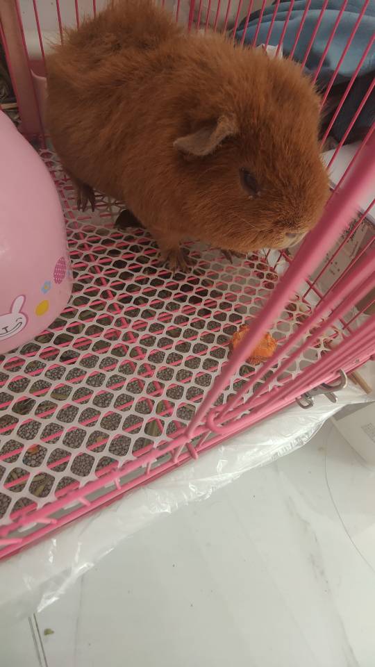 症状描述图片
