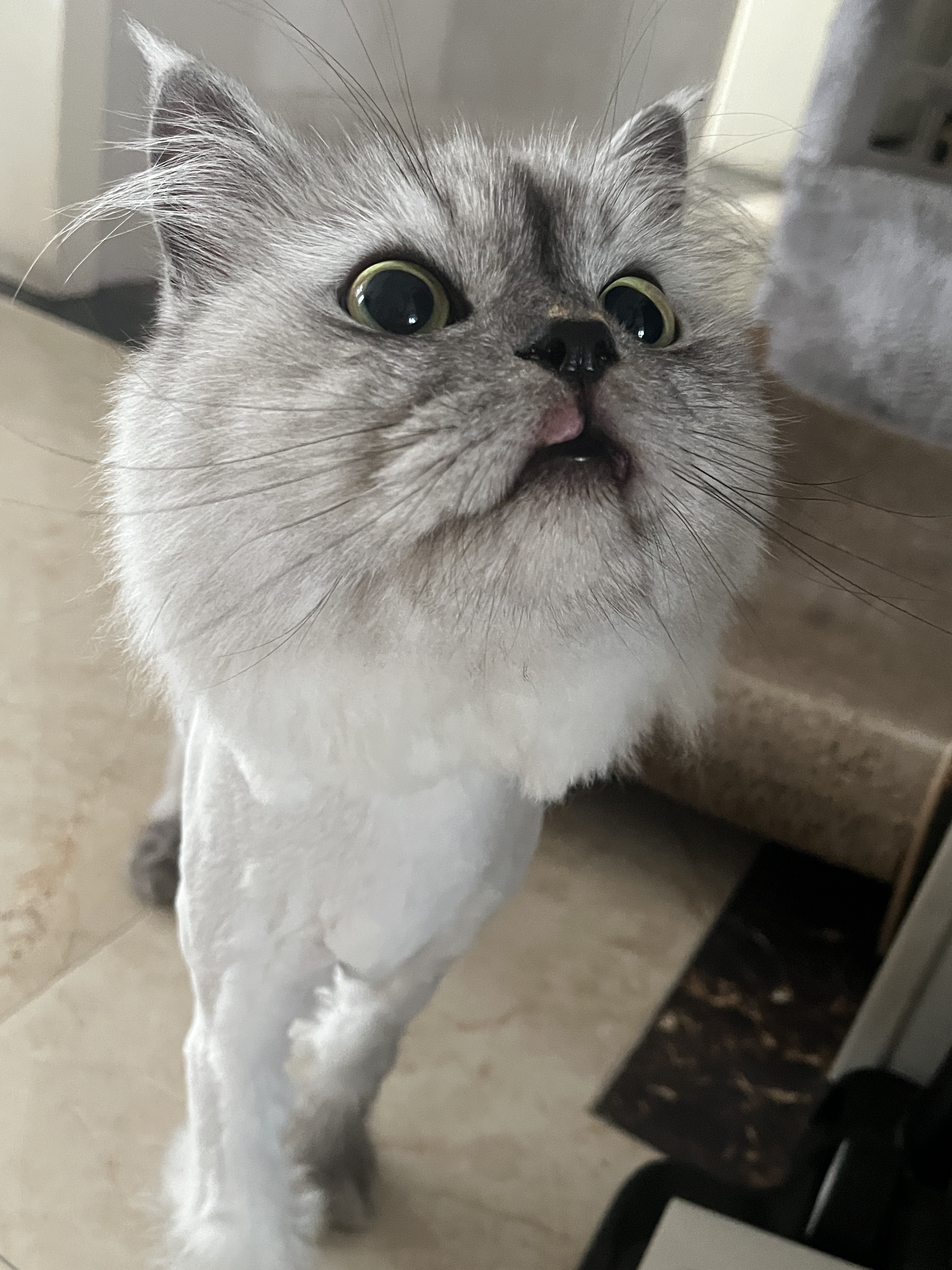 症状描述图片