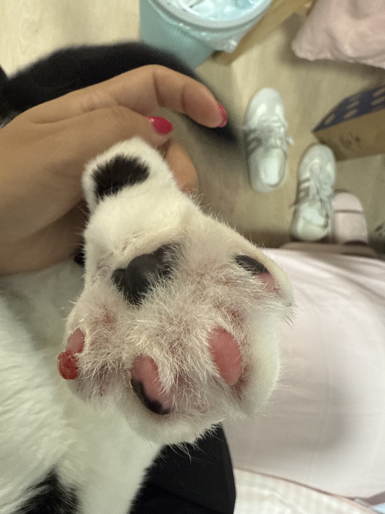 症状描述图片