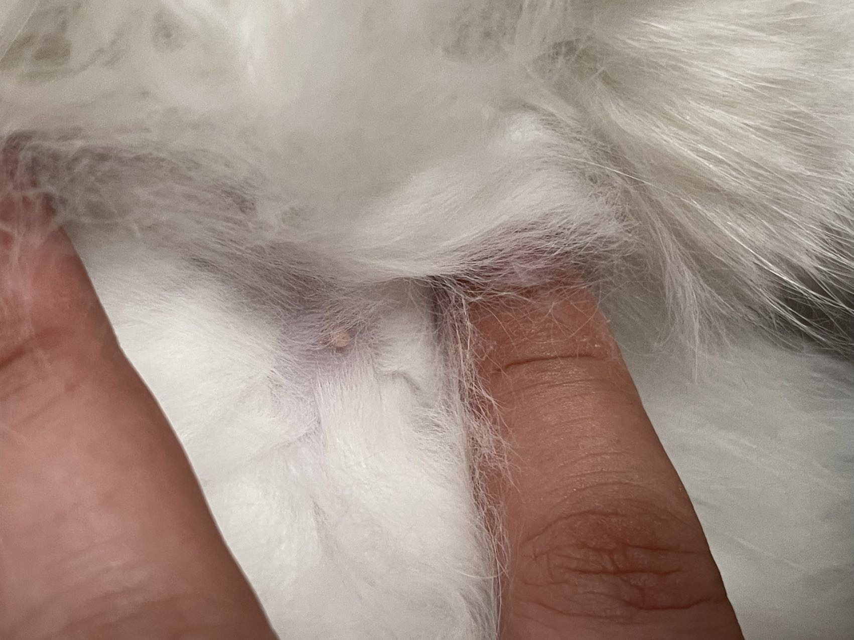 症状描述图片