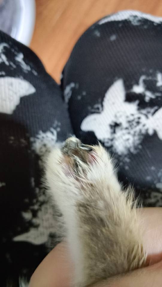 症状描述图片