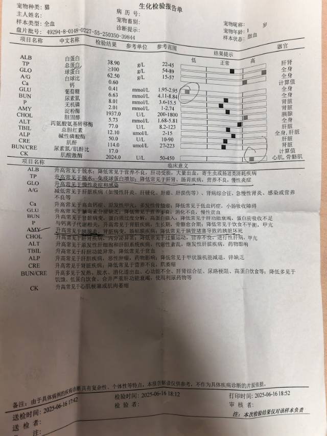 症状描述图片