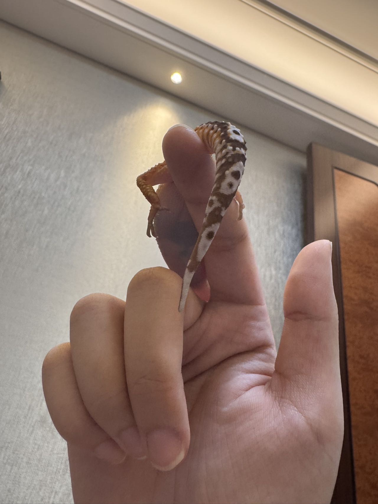 症状描述图片