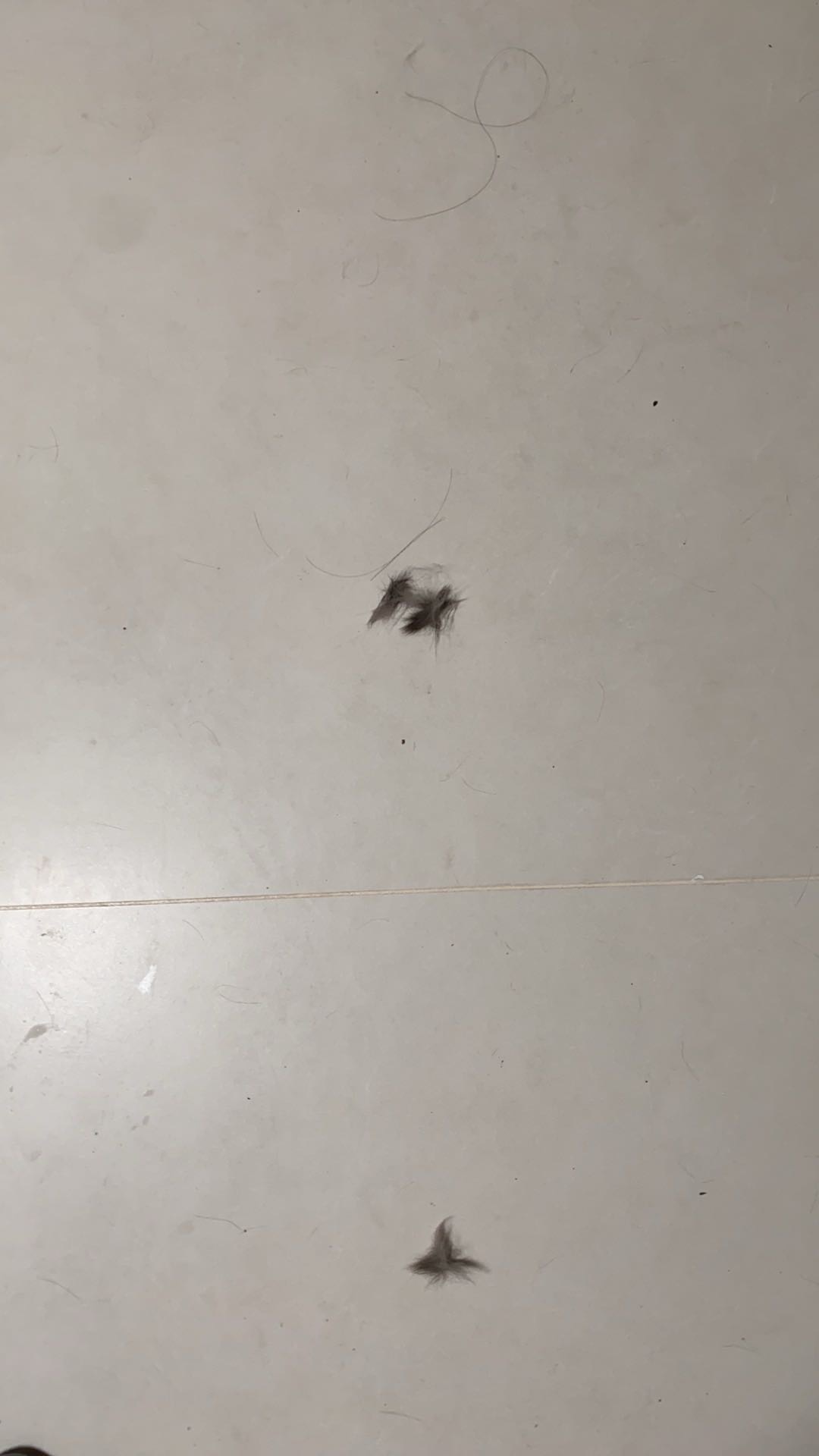 症状描述图片