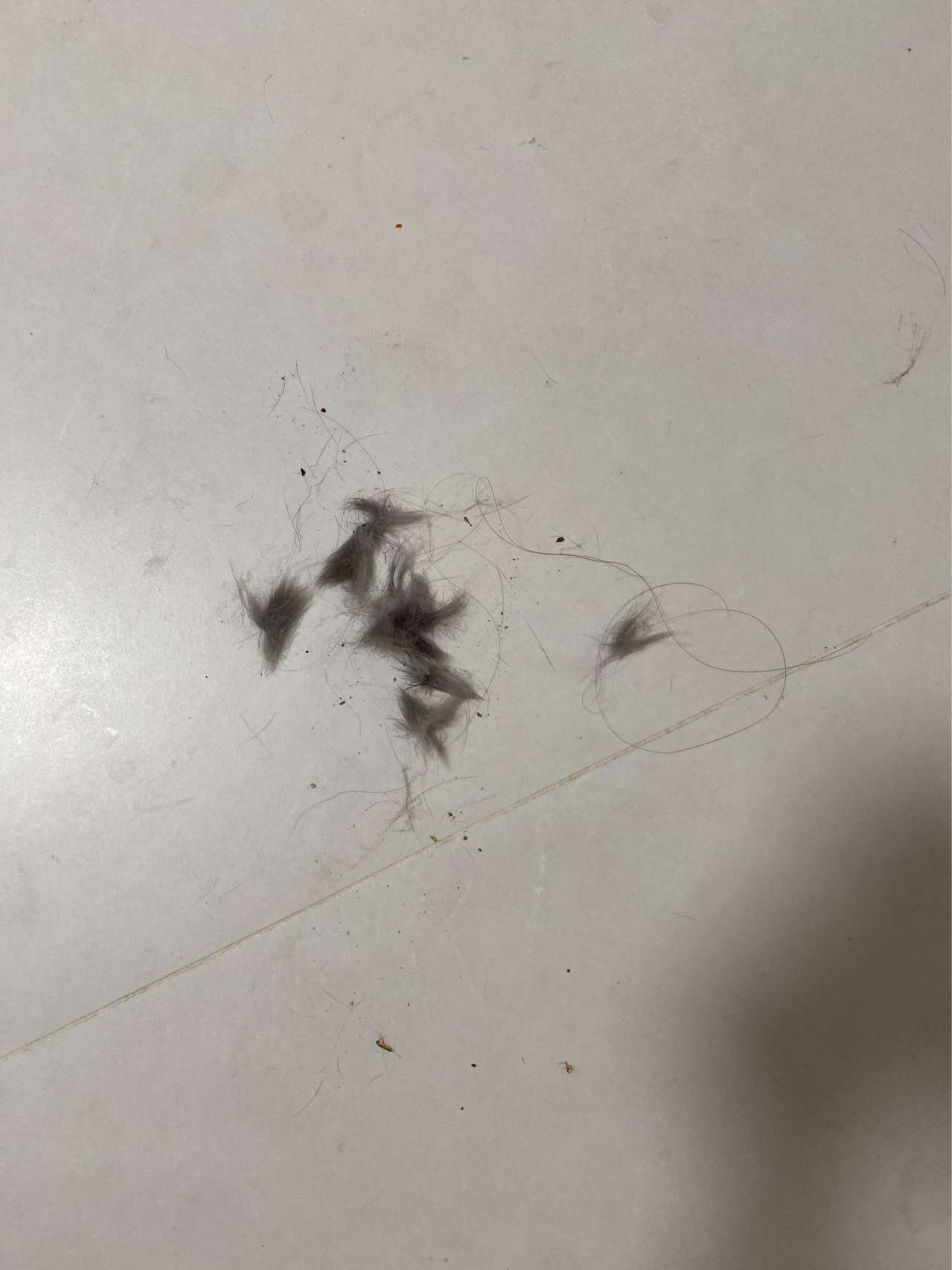 症状描述图片