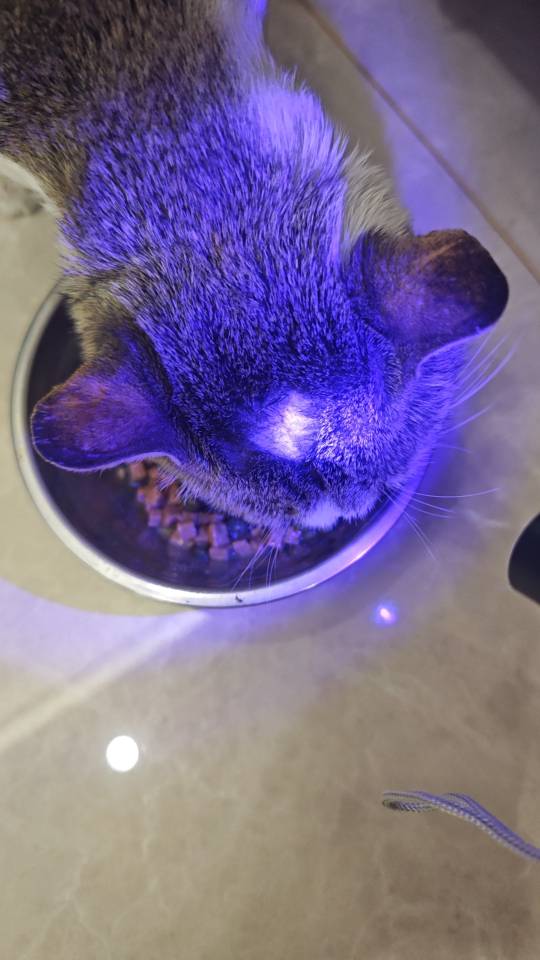 症状描述图片