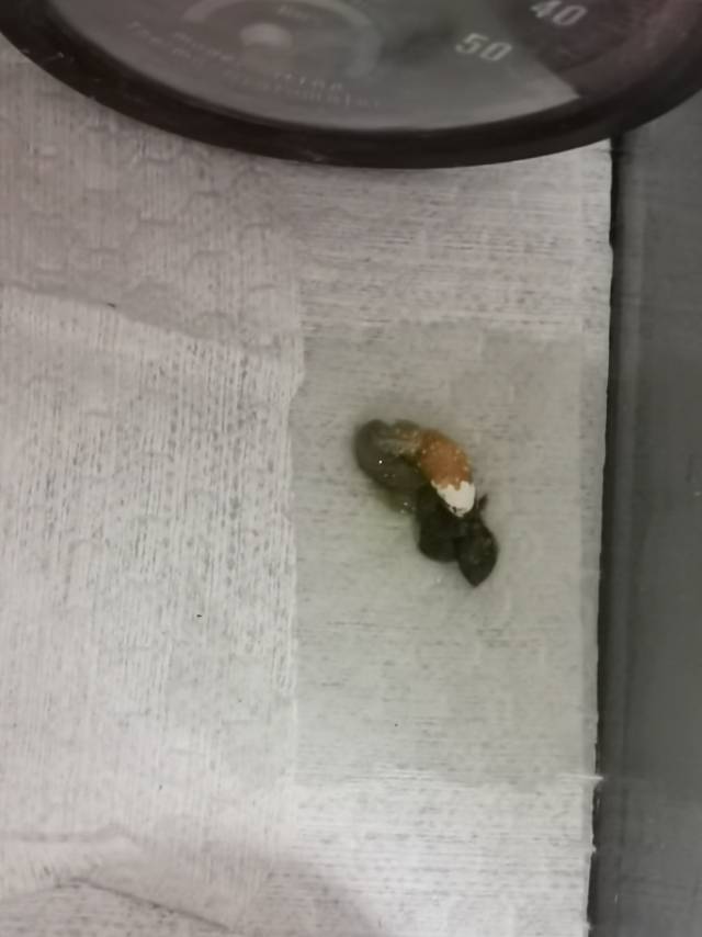 症状描述图片
