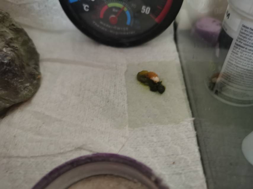 症状描述图片