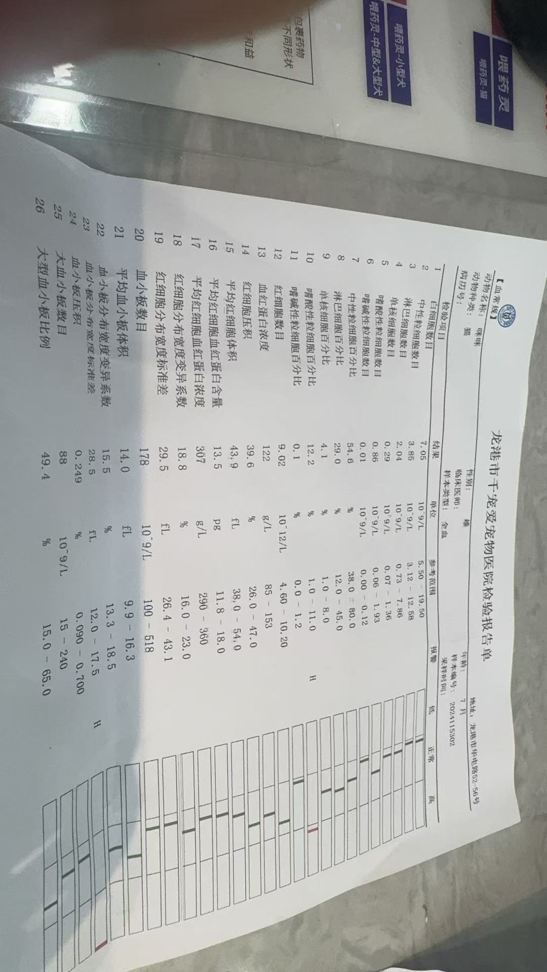 症状描述图片