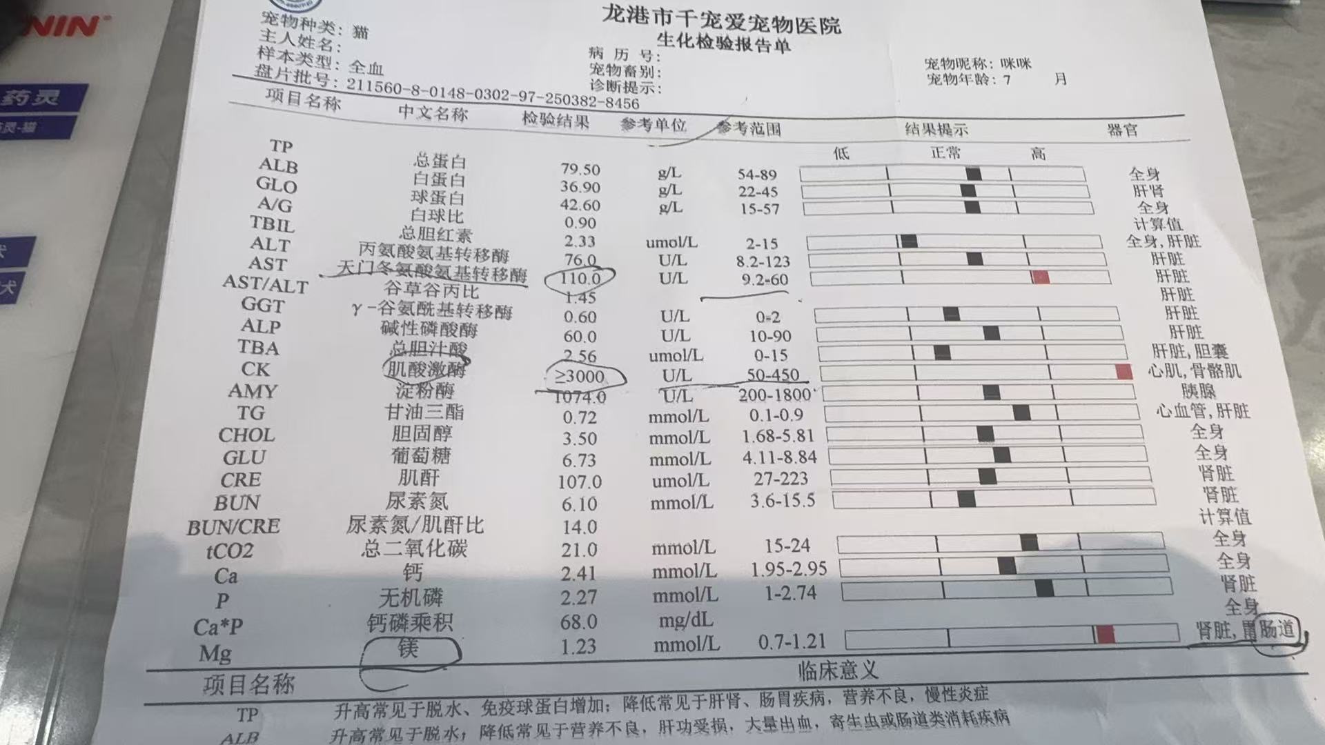 症状描述图片