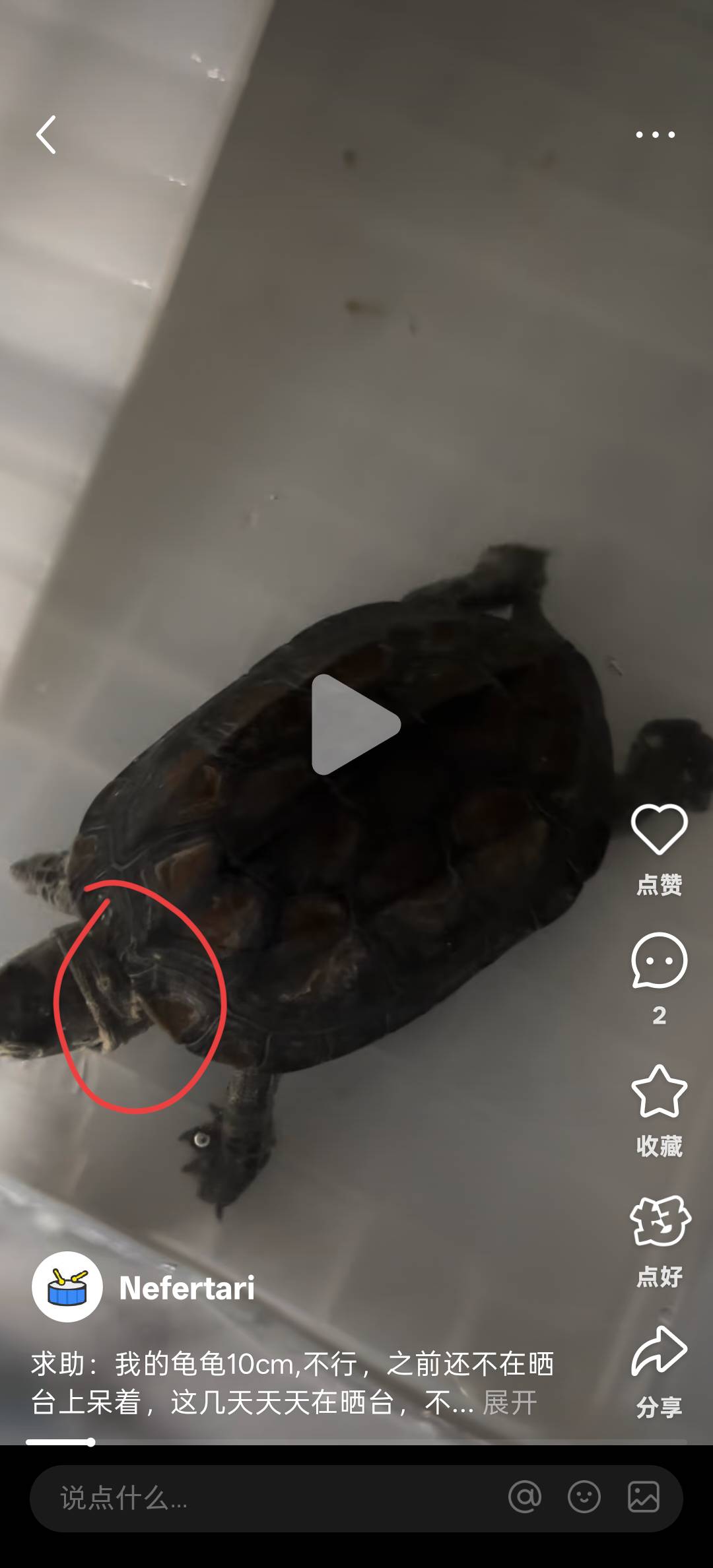 症状描述图片