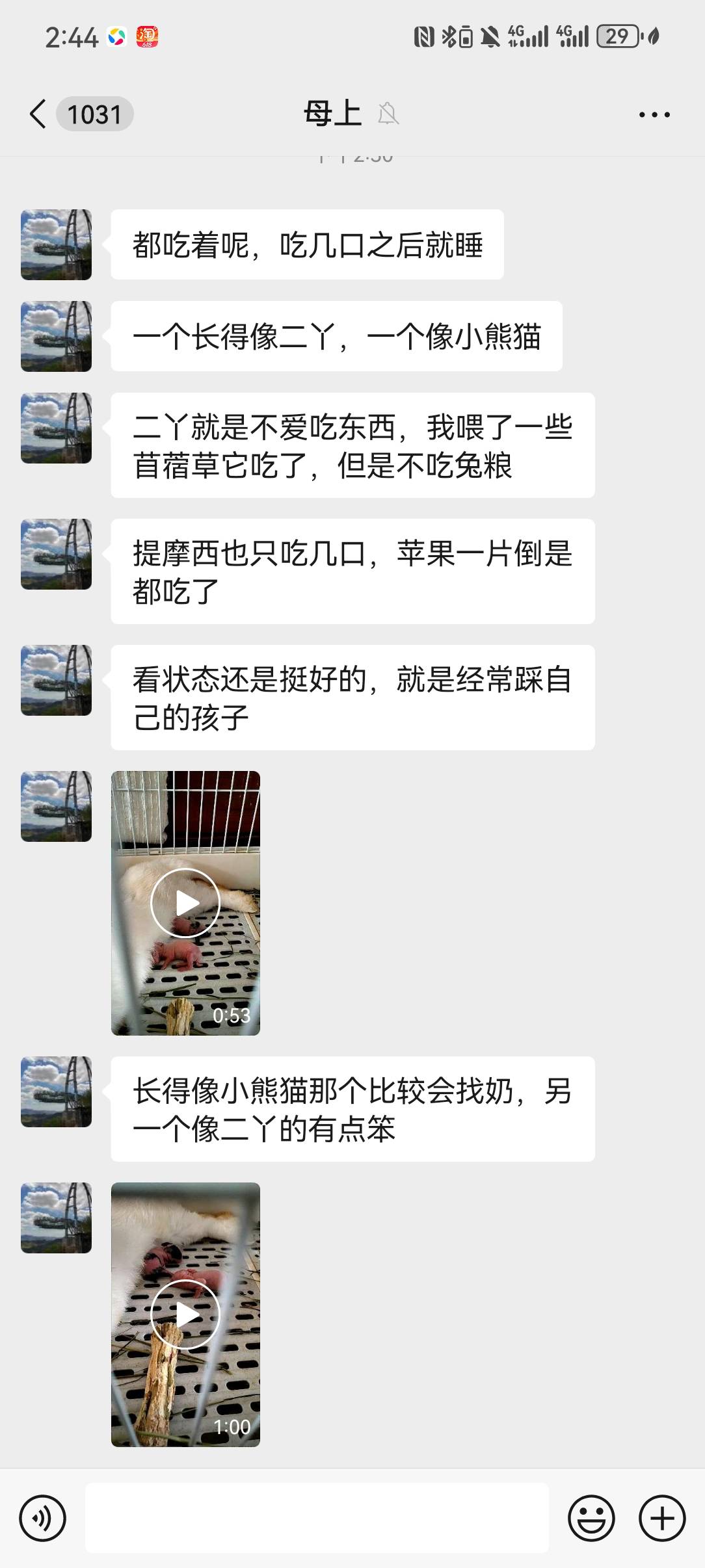 症状描述图片