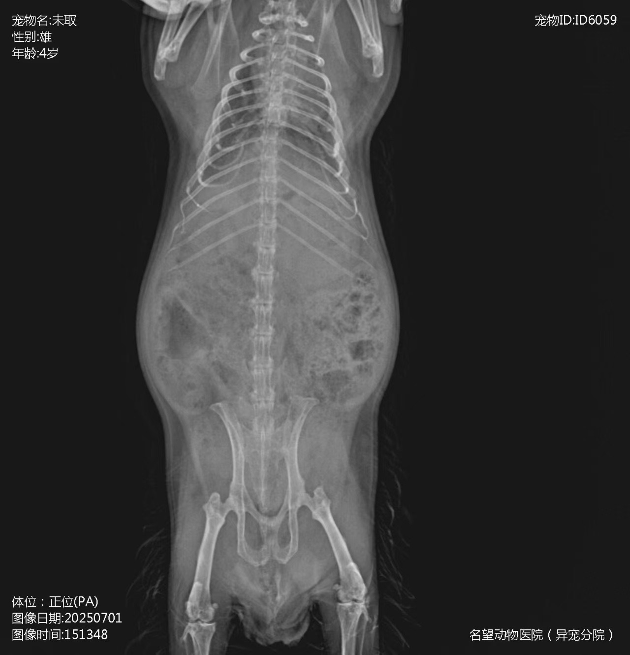 症状描述图片