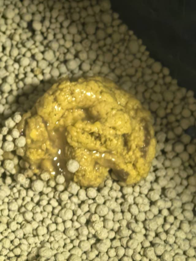 症状描述图片