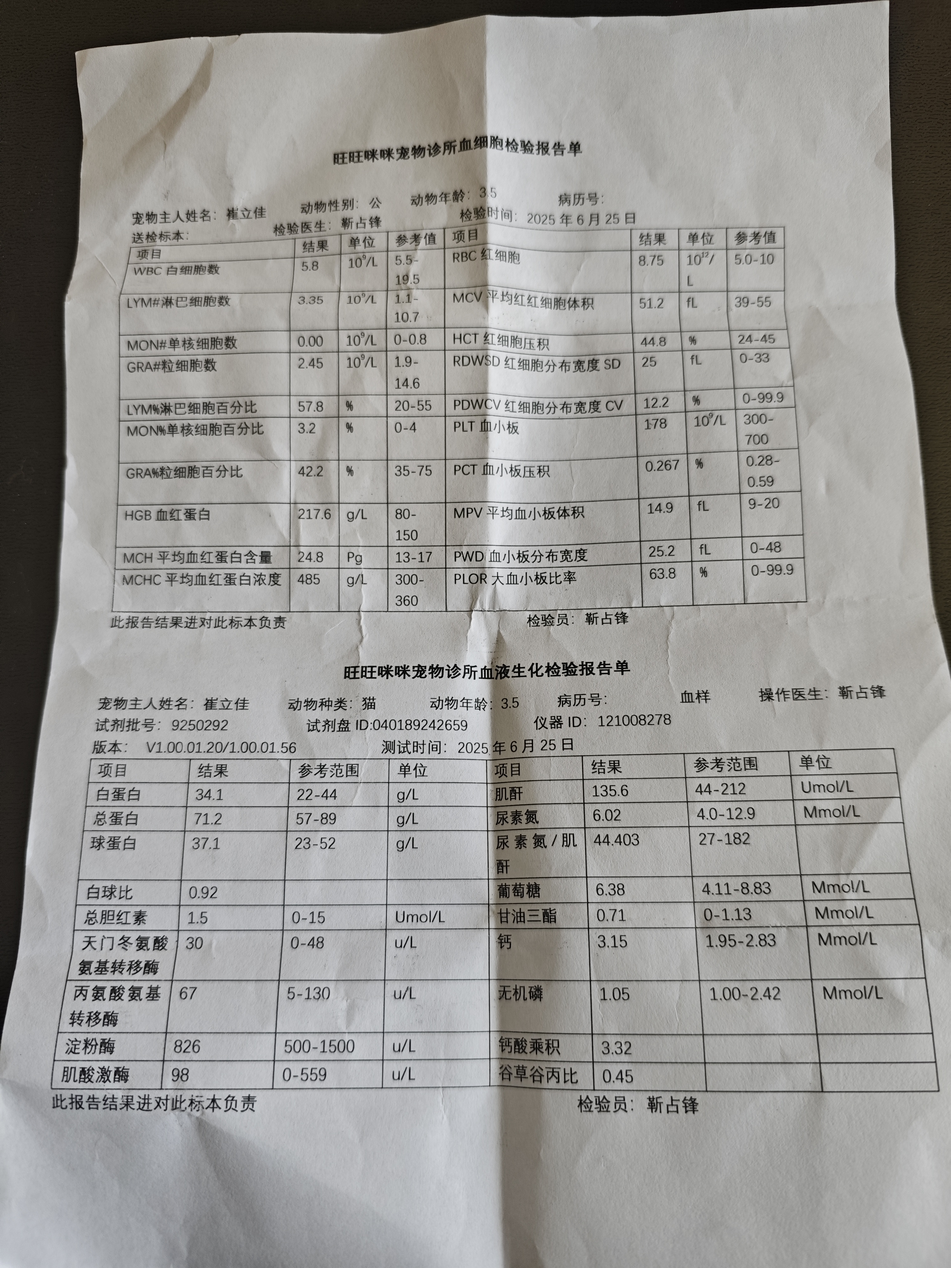 症状描述图片