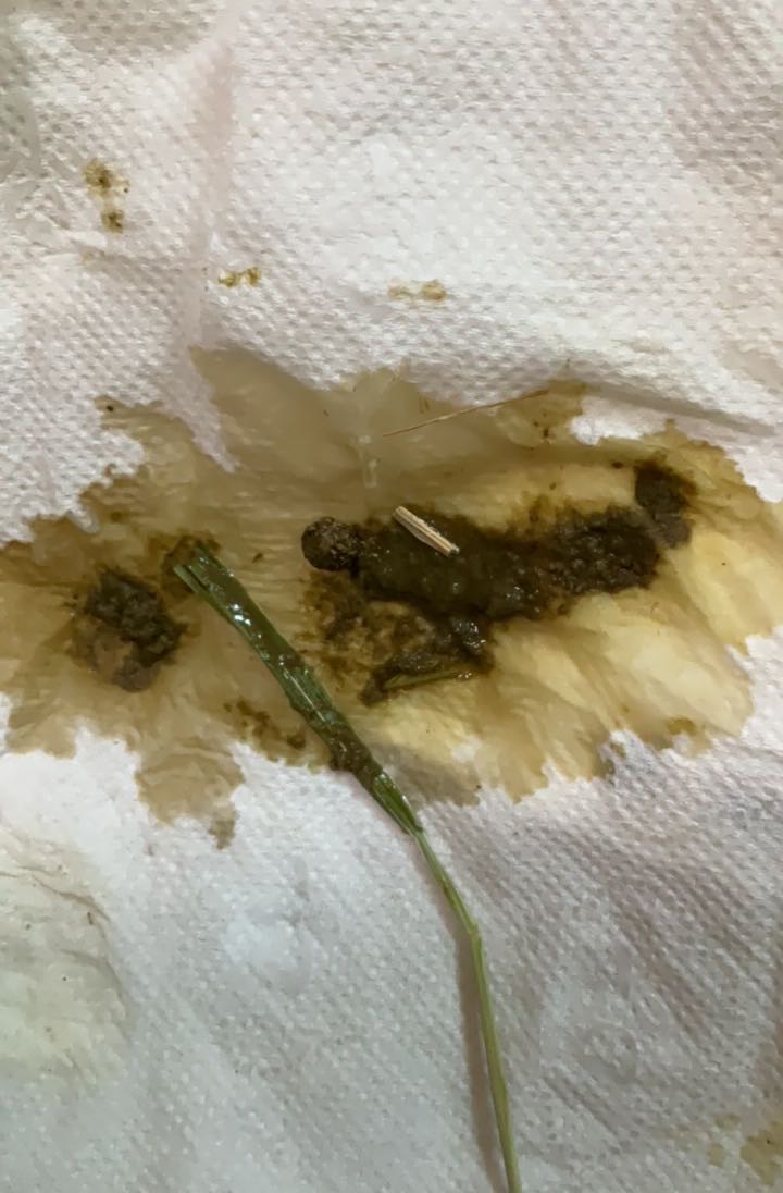 症状描述图片