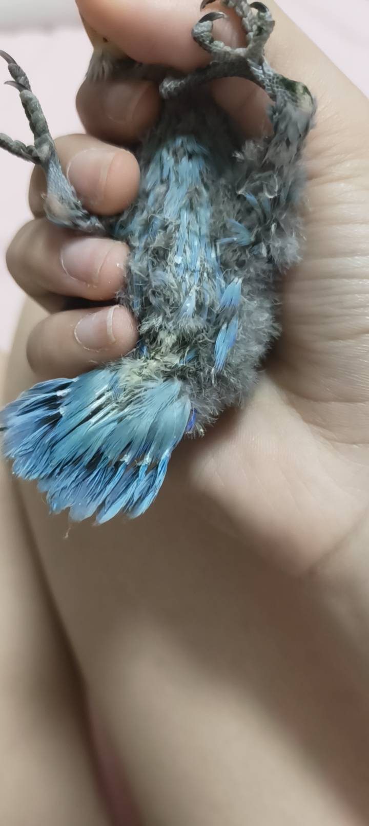 症状描述图片