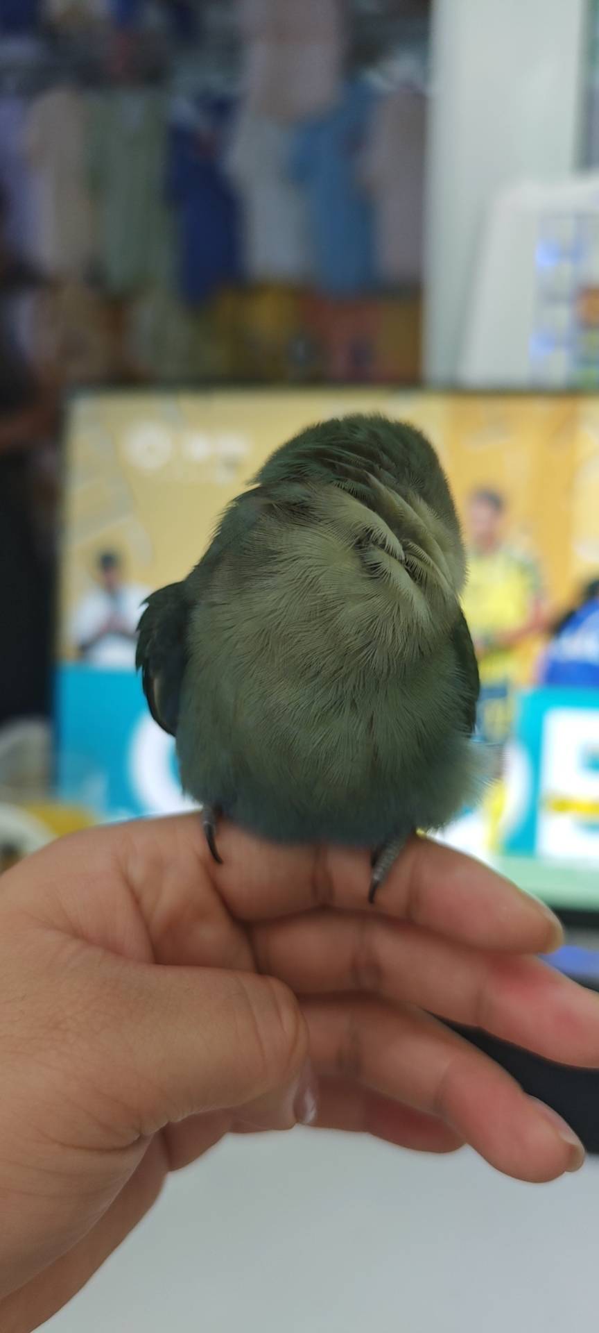症状描述图片