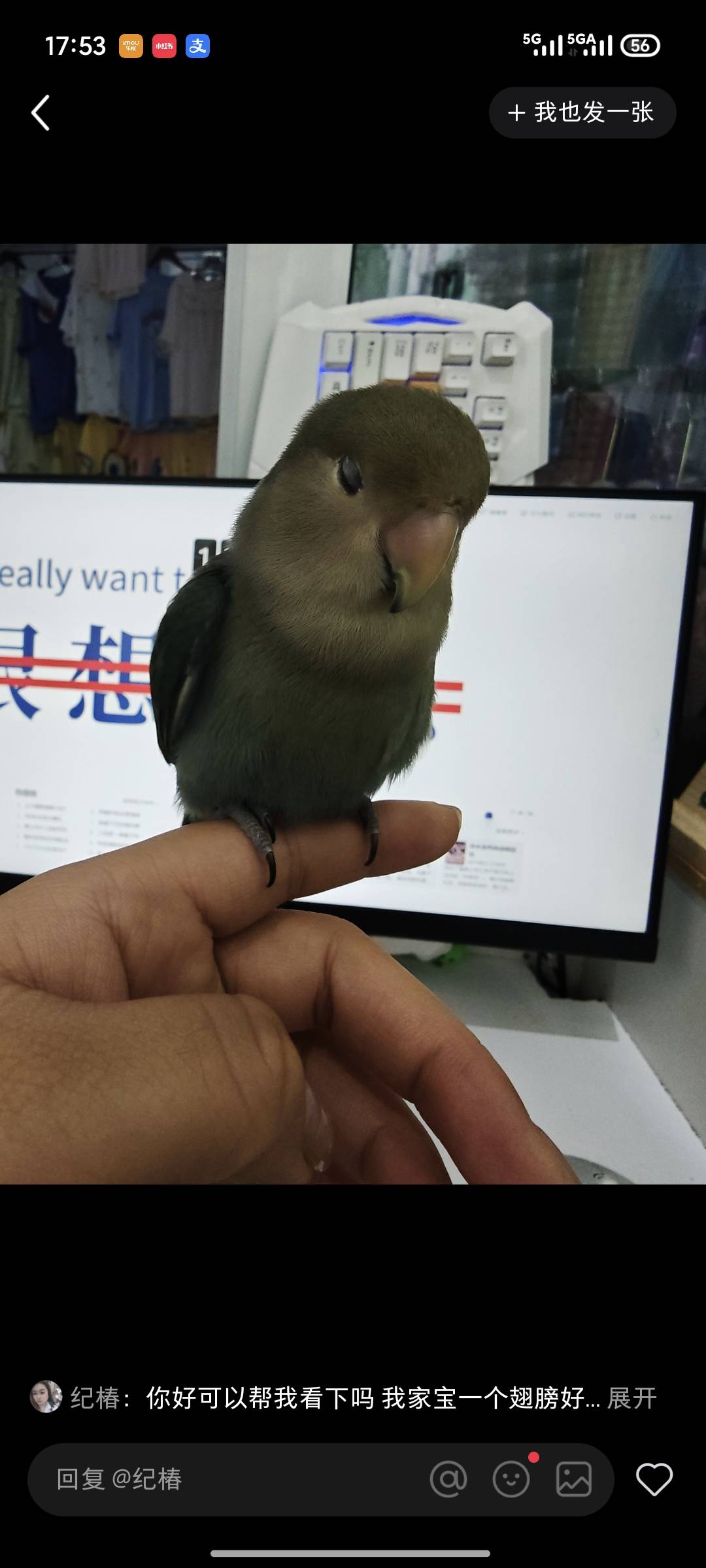 症状描述图片