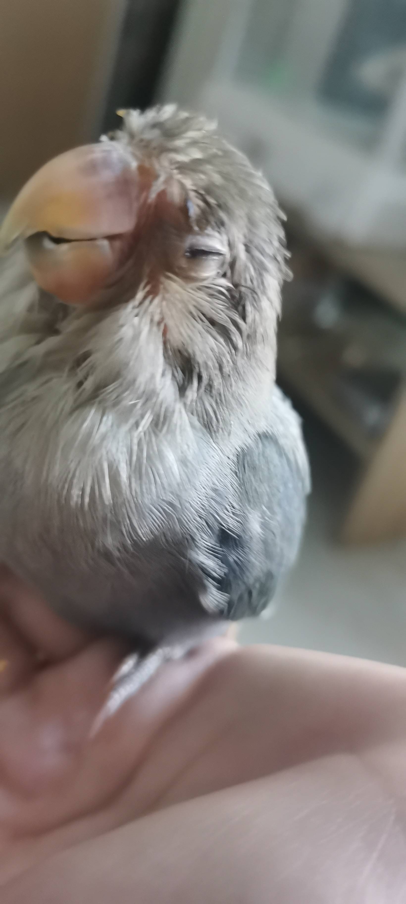 症状描述图片