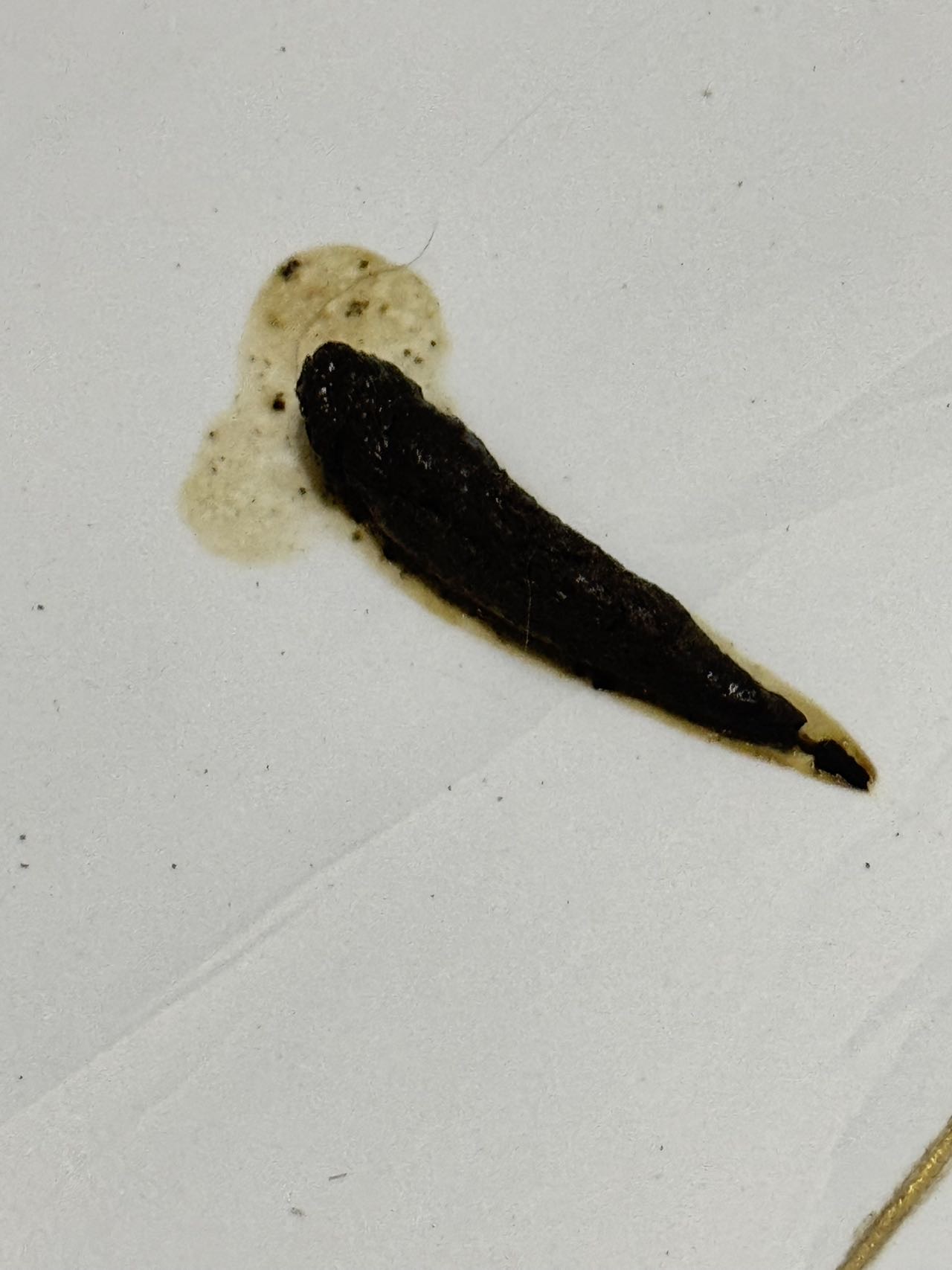 症状描述图片