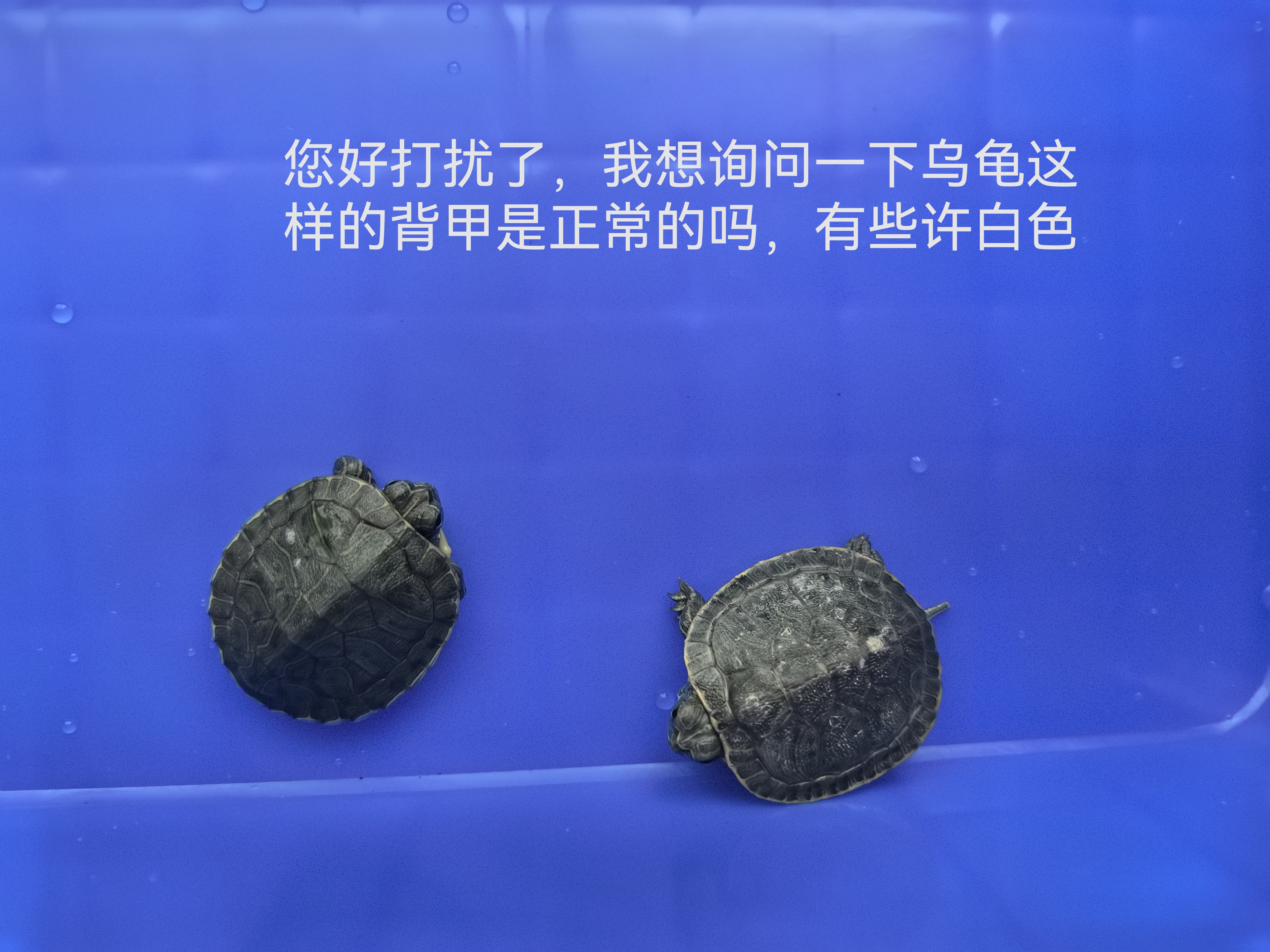 症状描述图片