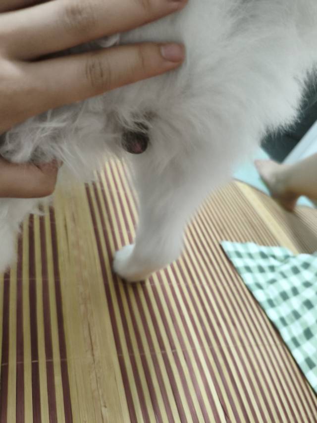 症状描述图片