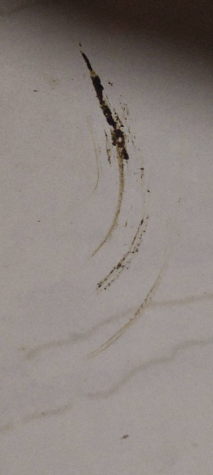 症状描述图片