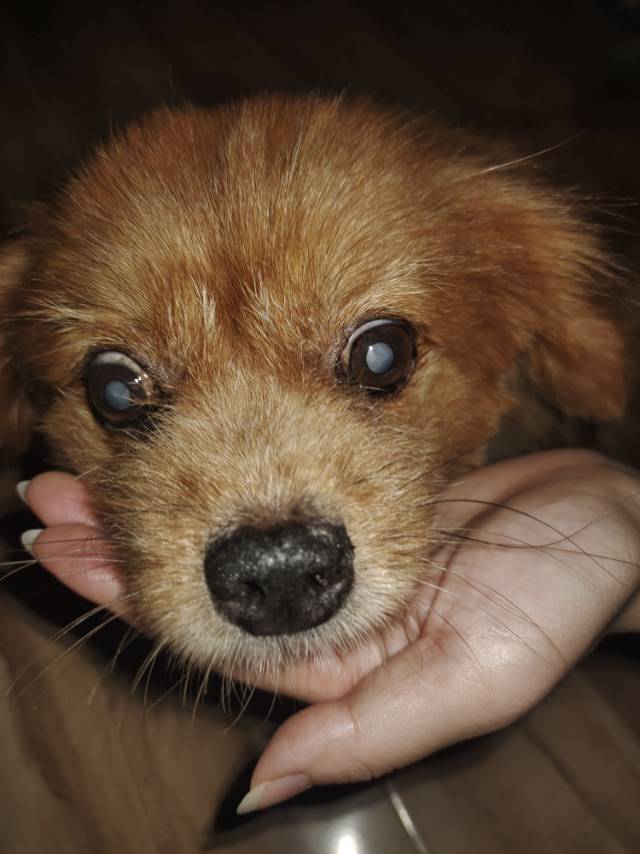 症状描述图片