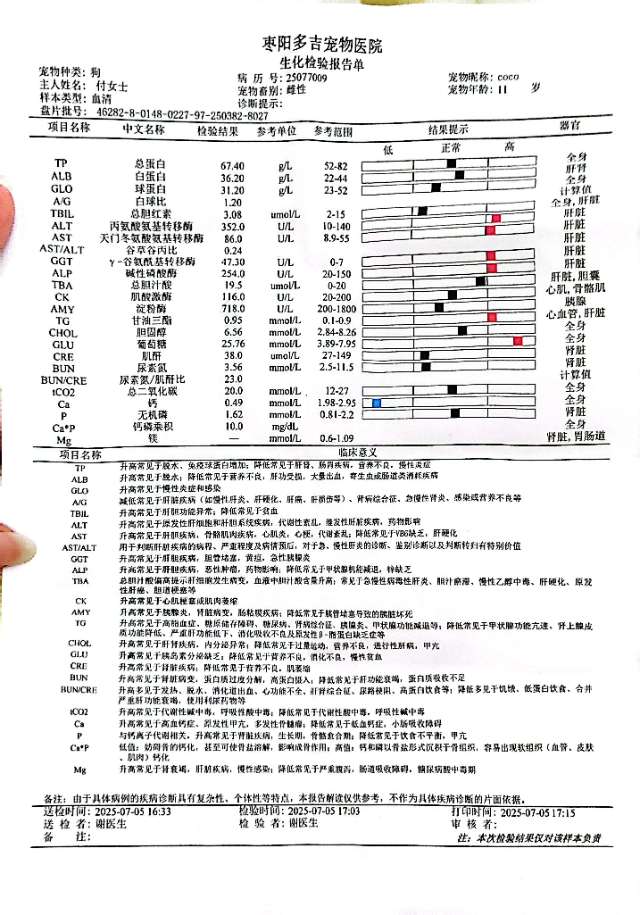 症状描述图片