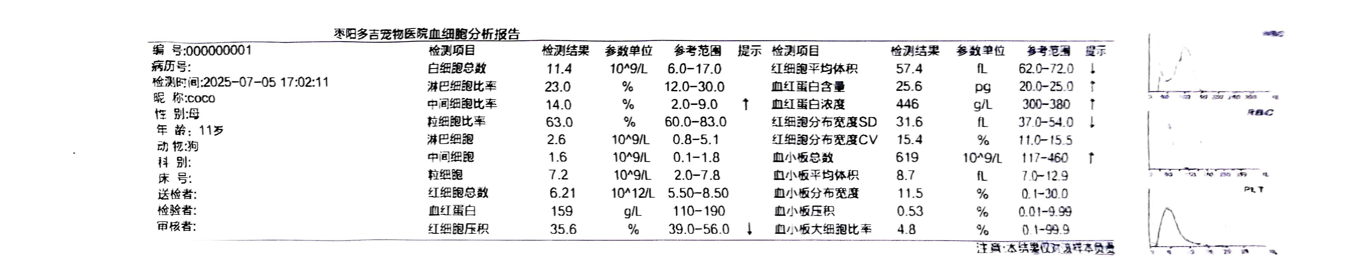 症状描述图片