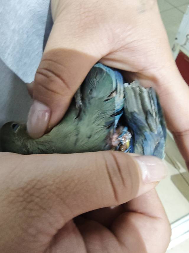 症状描述图片