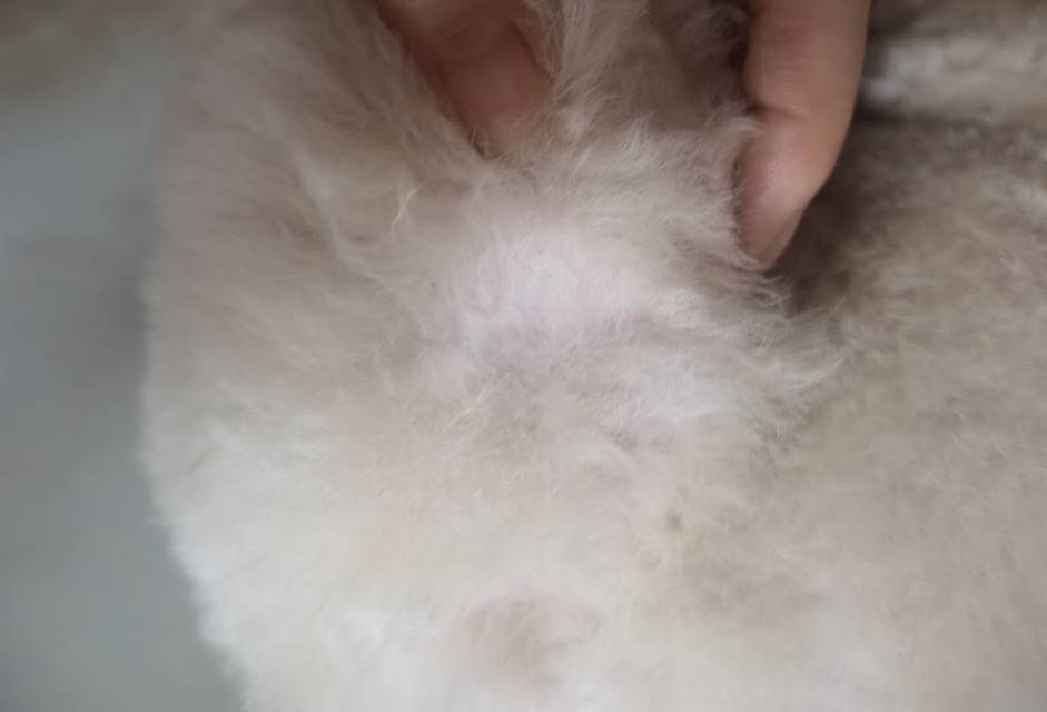 症状描述图片