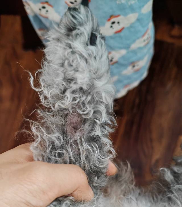 症状描述图片