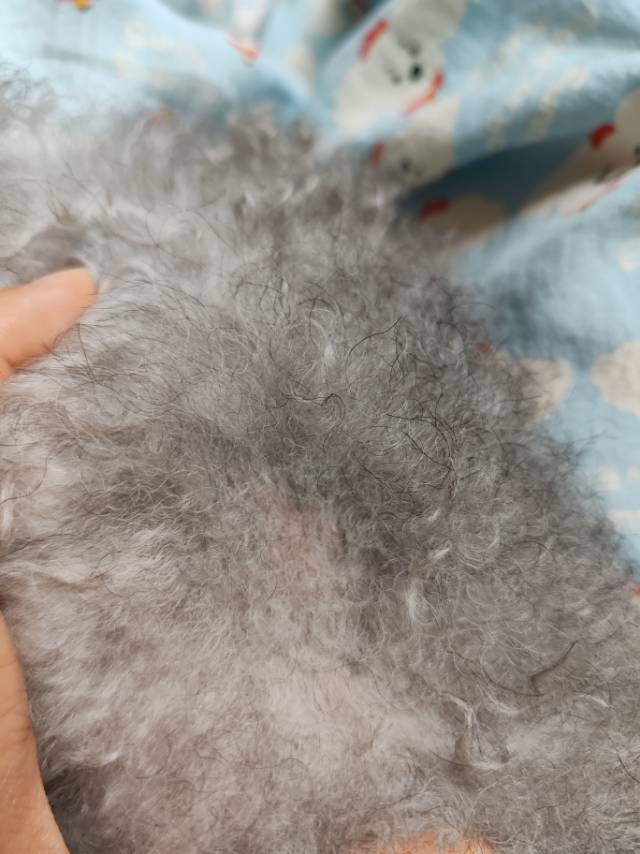 症状描述图片