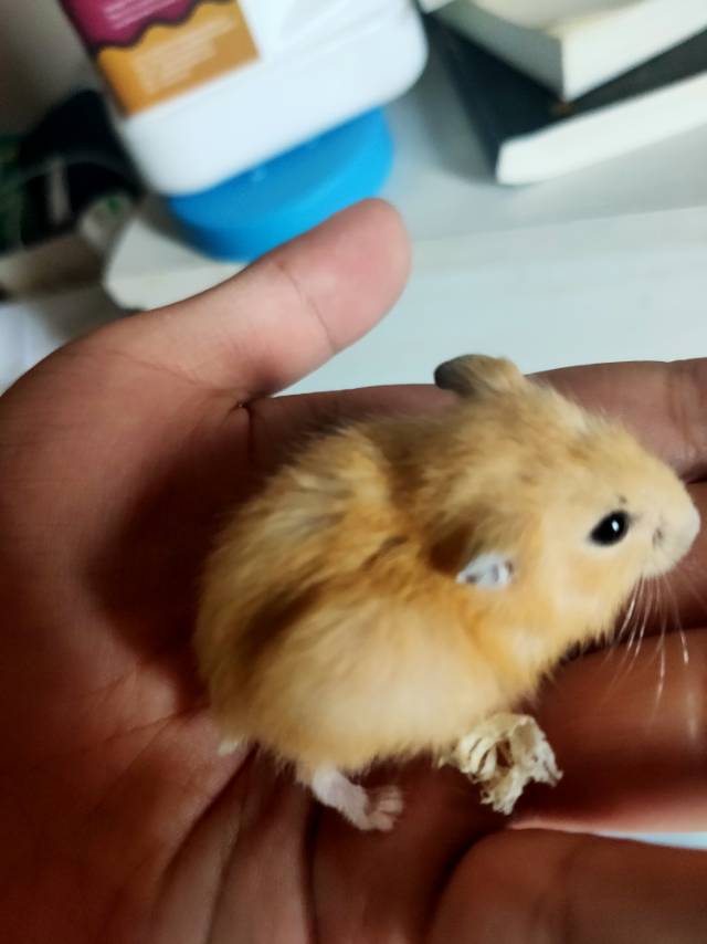 症状描述图片