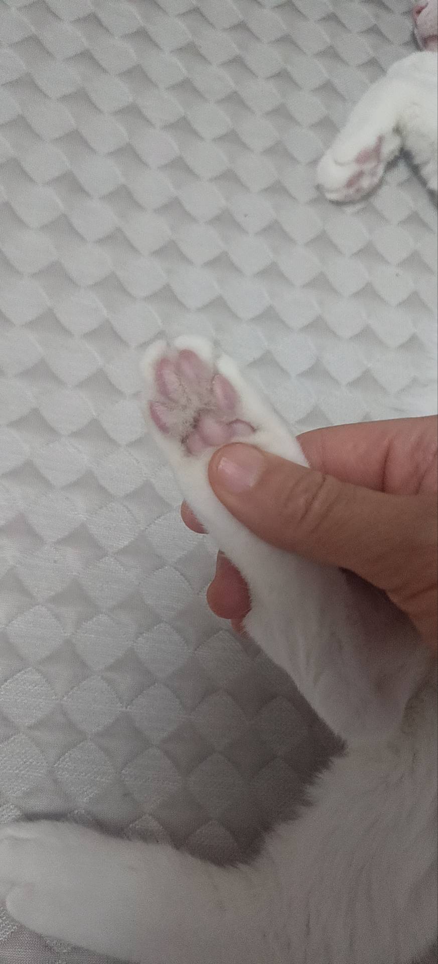 症状描述图片
