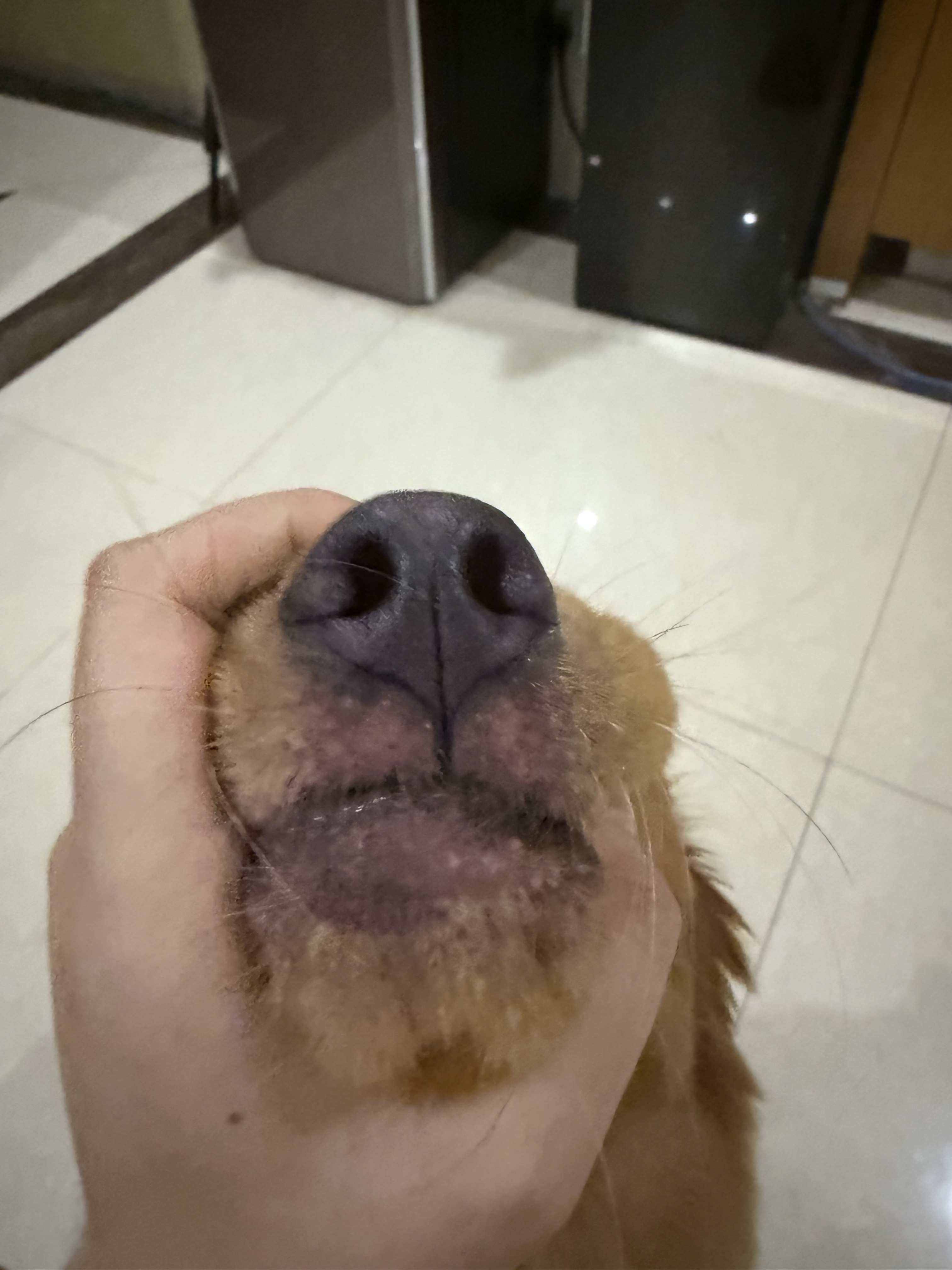 症状描述图片